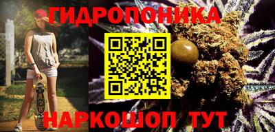 a pvp Дубна