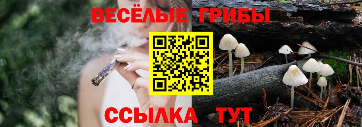 Галлюциногенные грибы MAGIC MUSHROOMS  Псилоцибиновые грибы Magic Shrooms  Моршанск  Вход с VPN 