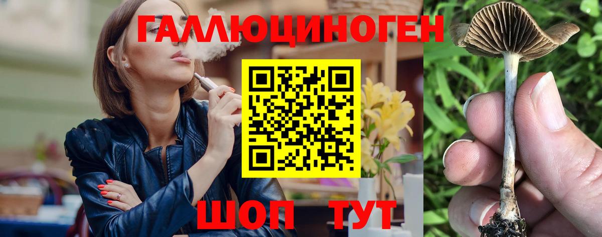 Галлюциногенные грибы Psilocybe Моршанск
